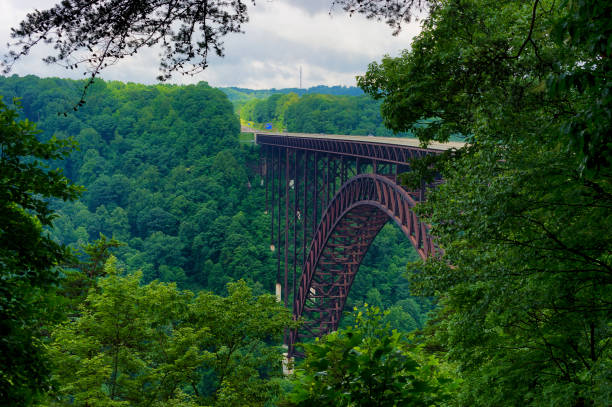 istock New River Bridge in New River National Park 1032131840
