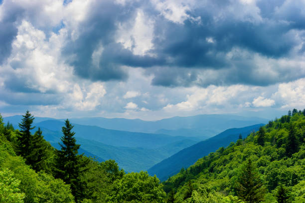 istock Great Smoky Mountins National Park in summer 1032132230