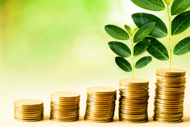 istock Growing investment concept 1032151228
