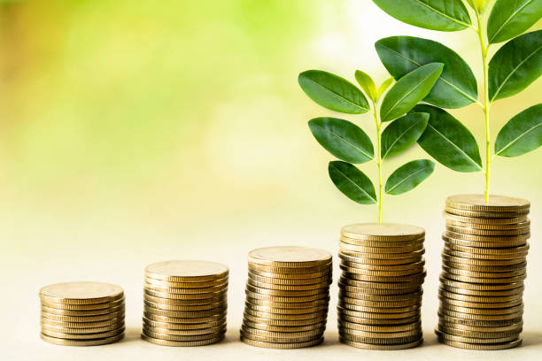 istock Growing investment concept 1032153728