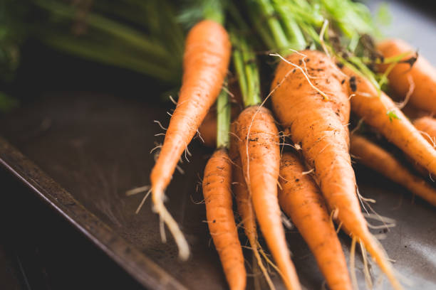 pęczek domowej uprawy organicznych marchewek - vegetable garden carrot vegetable organic zdjęcia i obrazy z banku zdjęć