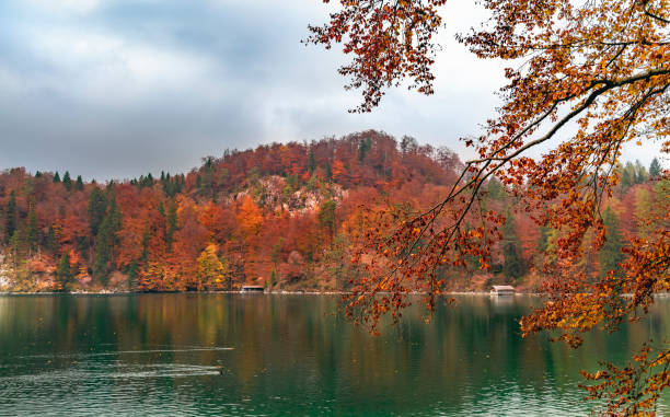 istock Green water lake and autumn forest 1032156184