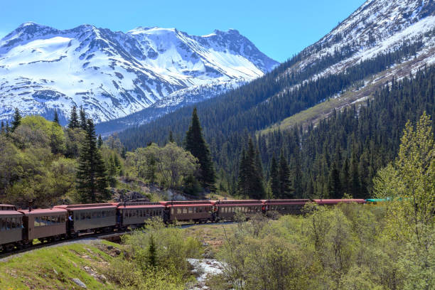 istock Views from the White Pass Mountain Tourist Train 1032165822