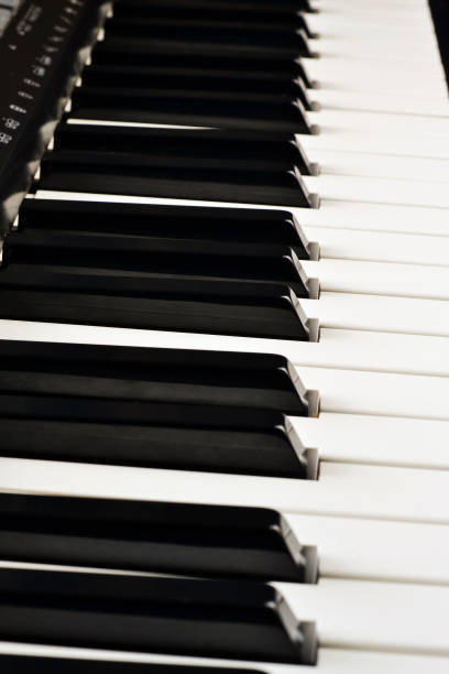 istock Synth keys for learning to play the piano 1032165880