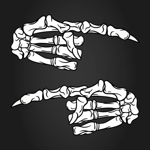 2,157 Cartoon Skeleton Hand Illustrations & Clip Art - iStock