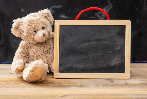 Back to school. Teddy bear and blank blackboard with frame on wooden desk, space for text