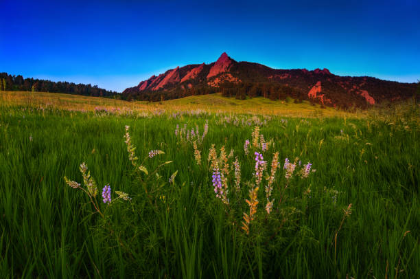 istock GLOWING FLATIRONS AND WILDFLOWERS 1032196092