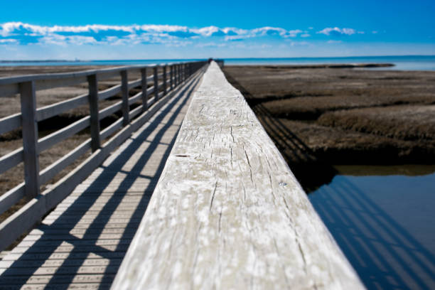 grays beach - cape cod, massachusetts - cape cod new england sea marsh foto e immagini stock