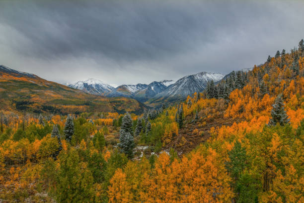 istock AUTUMN IN WONDERLAND 1032205072
