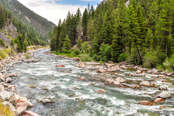 istock The Gallatin River Rolls Through the Montana Wilderness 1032222850
