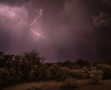 The monsoon season in Arizona brings stormy weather and awesome lightning strikes in the desert