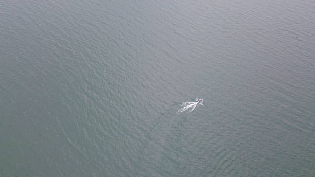 vue aérienne de bateau de surf en mousse prop lavage en bleu de la mer - prop wash photos et images de collection