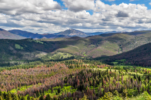 las montañas fuera de helena, montana - moody sky fotografías e imágenes de stock