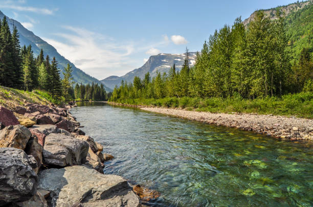 ein fluss fließt durch den glacier national park in montana - naturwald fotos stock-fotos und bilder