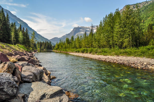 un río corre por el parque nacional glaciar en montana - río fotos fotografías e imágenes de stock