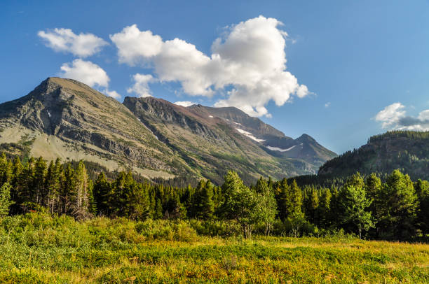 trawiasta łąka i las powodują powstanie gór w parku narodowym glacier w montanie - lake us glacier national park cloudscape cloud zdjęcia i obrazy z banku zdjęć