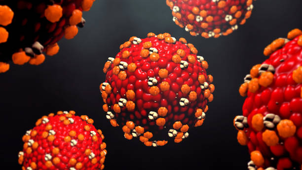 la rougeole virus ou - virus human immune system bacterium flu virus photos et images de collection