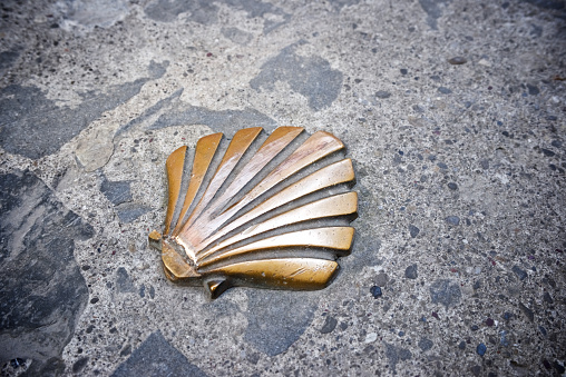 Santiago shell close up in Jaca, Huesca, Aragon, Spain.
