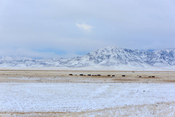istock Altyn-Emel winter landscape 1032270142