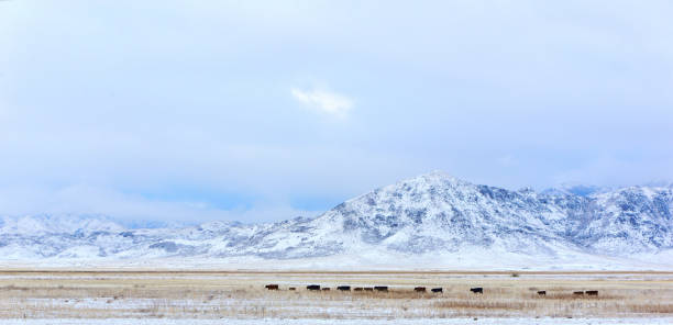 istock Altyn-Emel winter landscape 1032270158