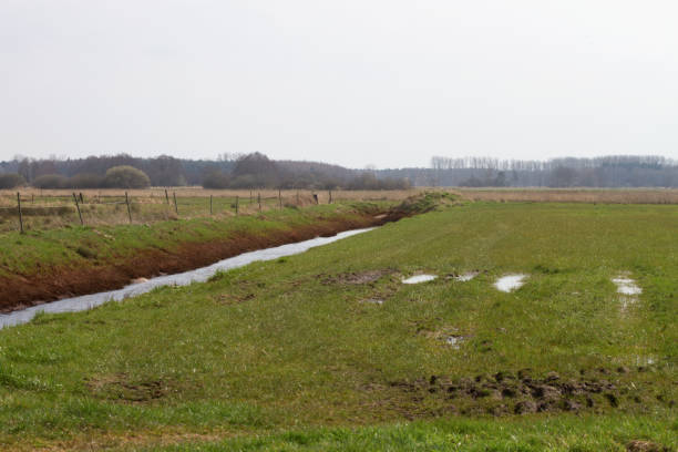 istock a dig filled with water in the north west of germany 1032276366