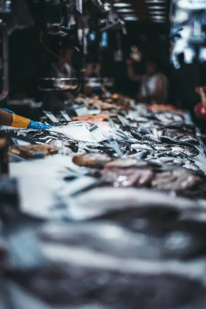 Photo of Fish-shop with counters with fresh fish