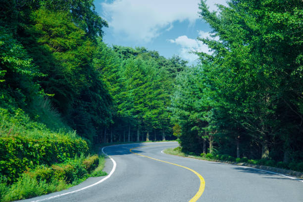 istock One day I drive the forest in good weather. 1032283222
