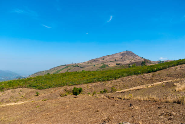 istock mountain road in Jalapa, Guatemala. 1032283408