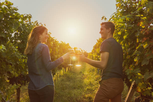 paar, klirren rotweinglas in einem weinberg während des sonnenuntergangs. - sunlit grapes stock-fotos und bilder