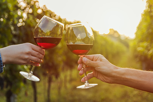 Dos manos tintineo de vidrio de vino rojo en un viñedo durante puesta del sol. photo