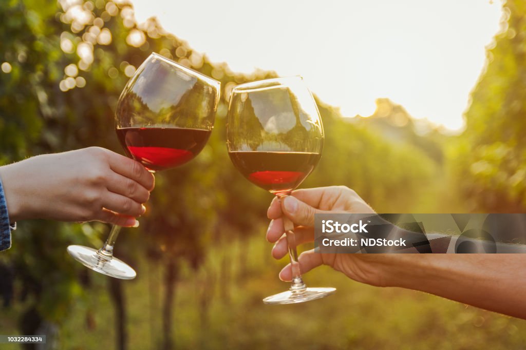 Deux mains tinter les verre de vin rouge dans un vignoble pendant le coucher du soleil. - Photo de Vin libre de droits