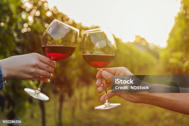 Photo libre de droit de Deux Mains Tinter Les Verre De Vin Rouge Dans Un Vignoble Pendant Le Coucher Du Soleil banque d'images et plus d'images libres de droit de Vin