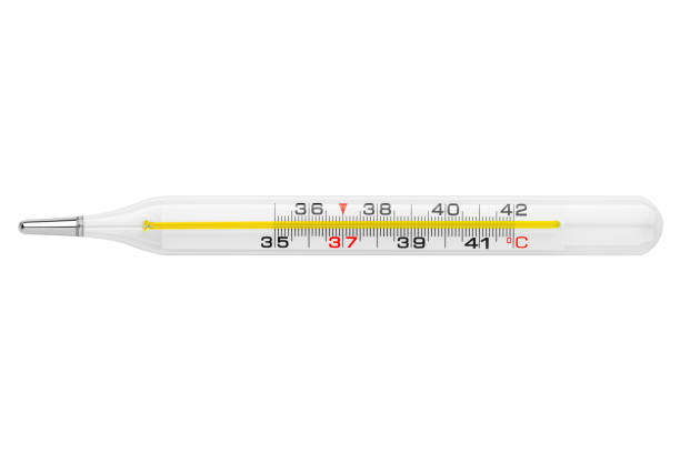 Thermometer on white background.