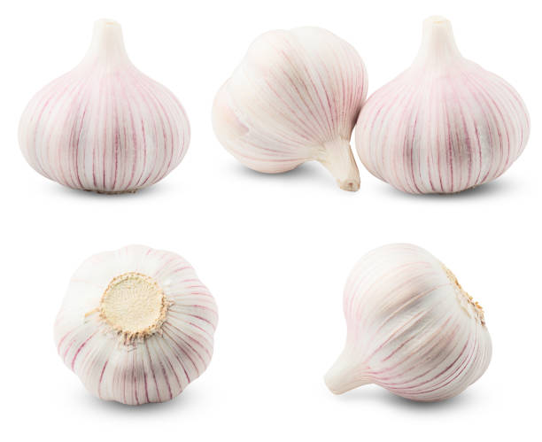 istock garlic, isolated on white background, clipping path, full depth of field 1032284584