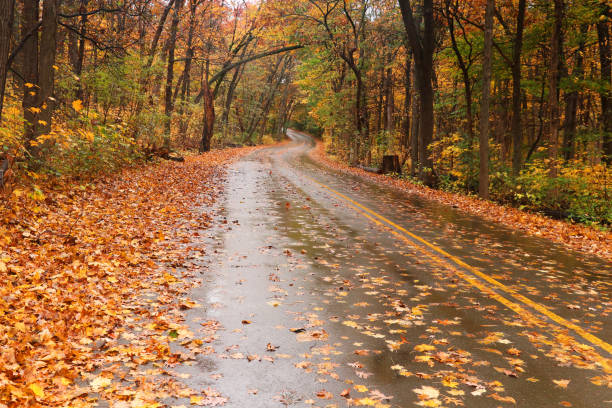 istock Beautiful autumn nature background. 1032295158