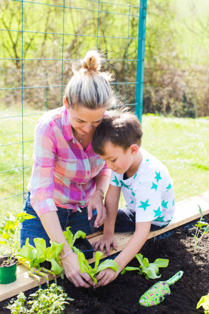 istock Mother And Son Planting In Garden 1032301154
