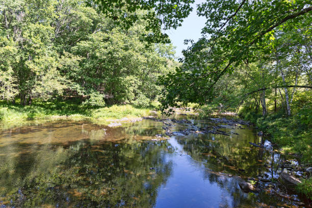 istock Sandy River in Unity Maine in the summertime 1032301308