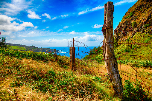 A rustic, worn fence along the rugged coastline of northern Maui, Hawaii.