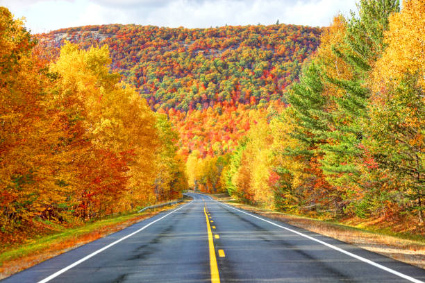 automne dans les dans les adirondacks - autumn landscape usa country road photos et images de collection
