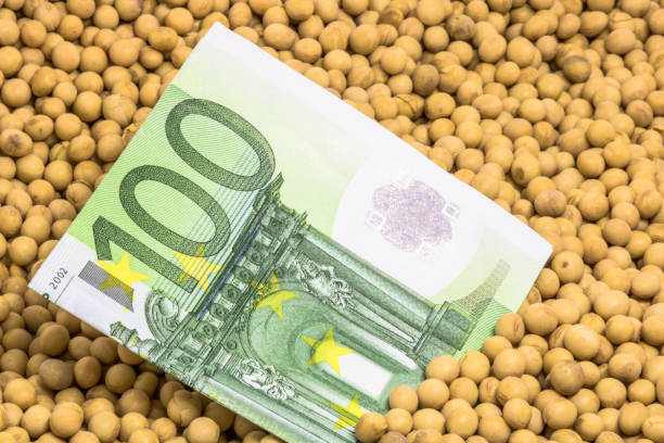 istock Agricultural concept, soybean at 100 Euro banknote 1032343600