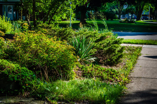 istock Suburban corner lot garden next to a sidewalk 1032348620