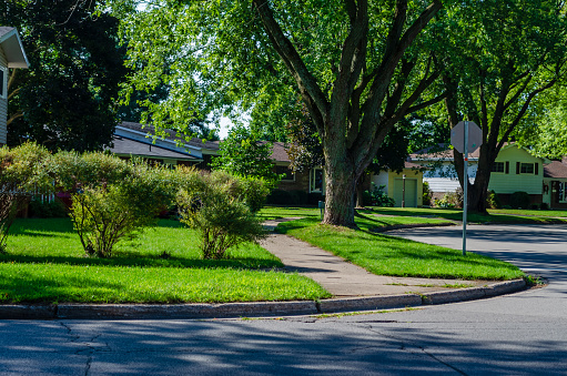 Corner of a curving suburban tree lined shady street in the summer