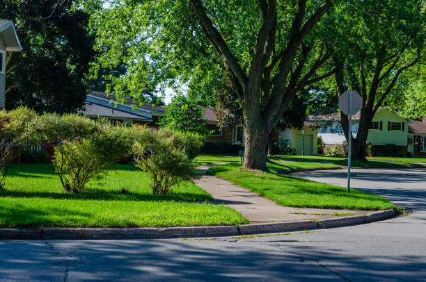 Corner of a curving suburban tree lined shady street in the summer Corner of a curving suburban tree lined shady street in the summer tree lined driveway stock pictures, royalty-free photos & images