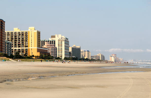 istock Misty morning at the beach 1032368944