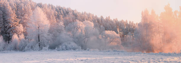 istock Winter landscape. Christmas morning 1032372250
