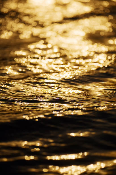istock Beautiful waves at sunset close up 1032374450