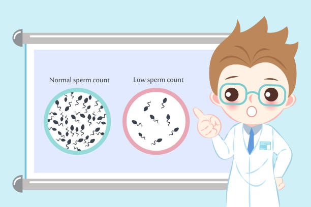sperm count concept doctor with sperm count concept on the blue background fertilized egg stock illustrations