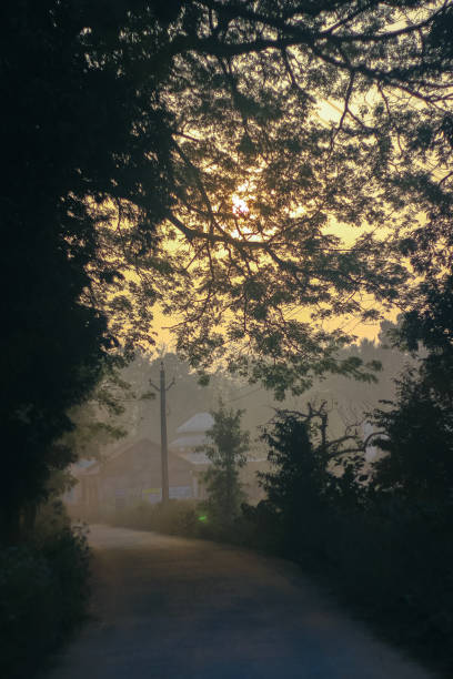 istock GOOD MORNING ... WITH THE SUNRISE 1032385436
