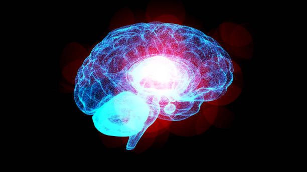 istock 3D Brain in all sides, top view, Left view, Right View, Side View, X-Ray Scan and glow effect 1032386152