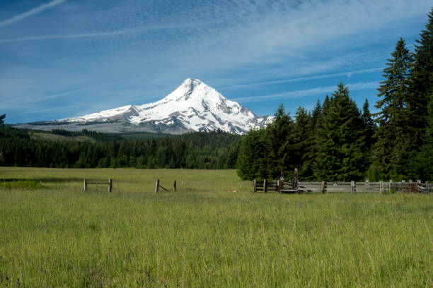 istock Mount Hood and Meadow, Oregon 1032402844